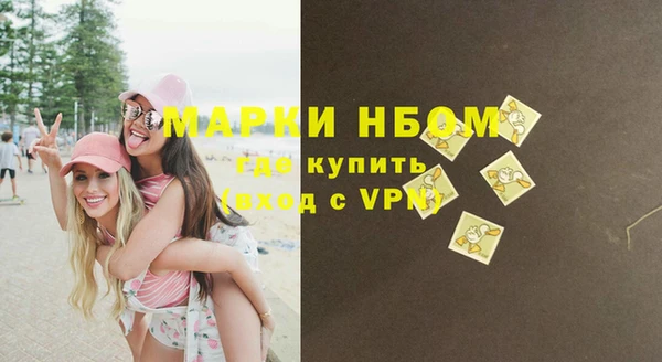 мдпв Бердск